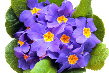 Similar image 10883509