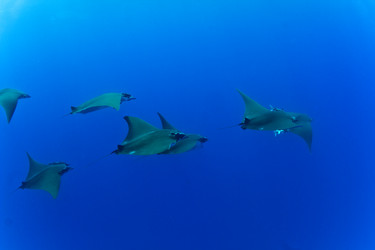 Similar image 10882646