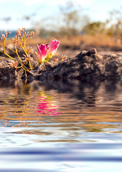 Similar image 10882820