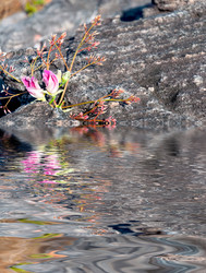 Similar image 10882821