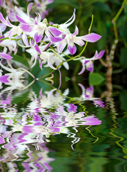 Similar image 10882823