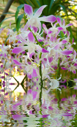 Similar image 10882824