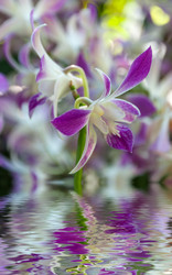 Similar image 10882825