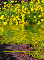 Similar image 10882827