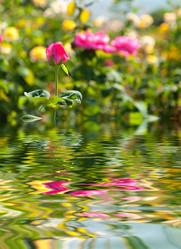 Similar image 10882759