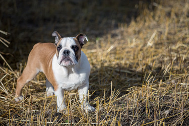 Similar image 10883472