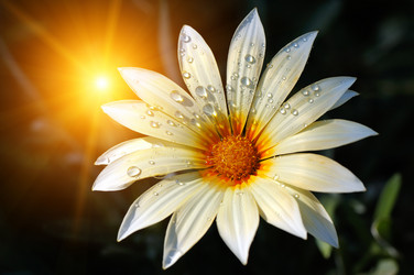 Similar image 10890742