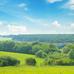 Similar image 10890748