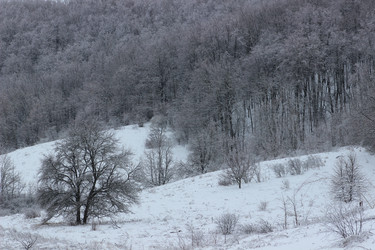 Similar image 10883511