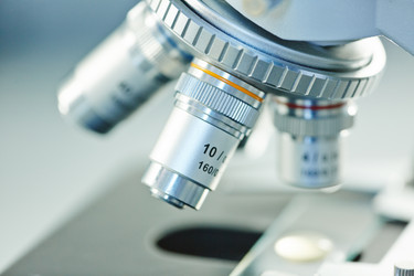 Similar image 10888310