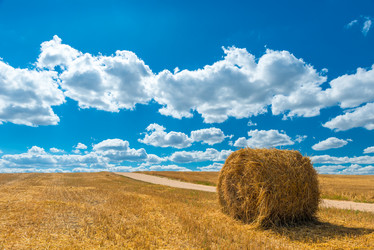 Similar image 10887534