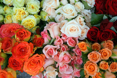 Similar image 10884221