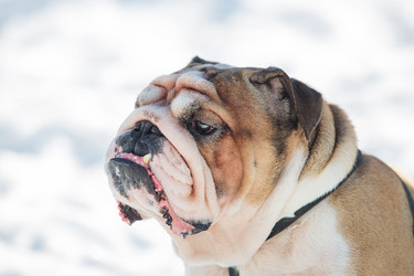 Similar image 10884231