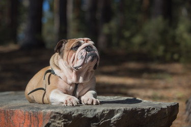 Similar image 10884232