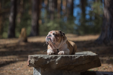 Similar image 10884233