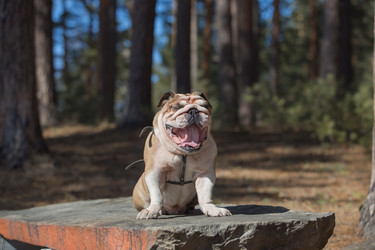 Similar image 10884234