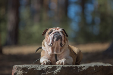 Similar image 10884235