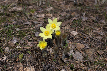 Similar image 10884237