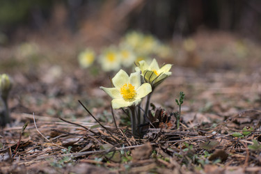 Similar image 10884242