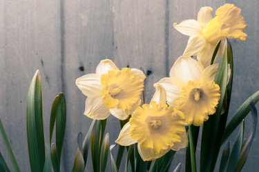 Similar image 10884812