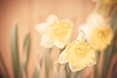 Similar image 10884785