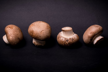 Similar image 10884787