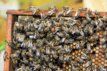 Similar image 10884692