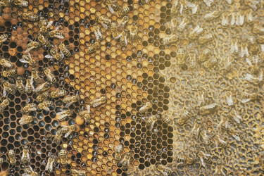 Similar image 10884693