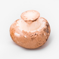 Similar image 10884698