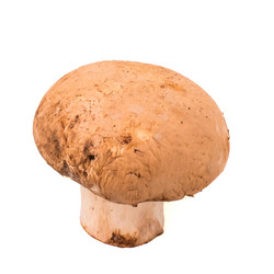 Similar image 10884700