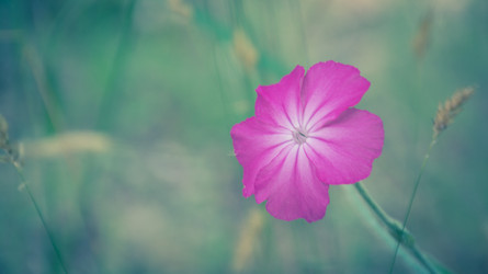 Similar image 10893773