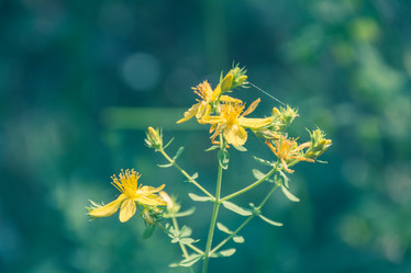 Similar image 10893782