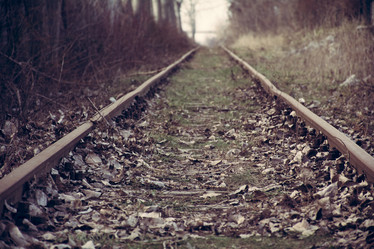 Similar image 10893788