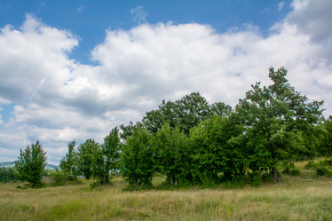 Similar image 10893790