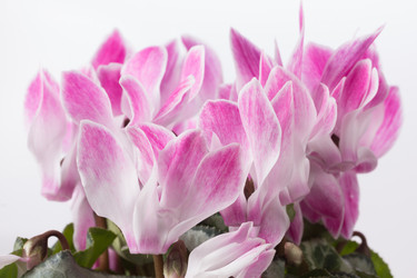 Similar image 10893629