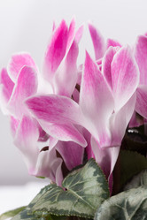 Similar image 10893630