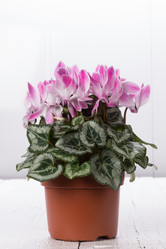 Similar image 10893633