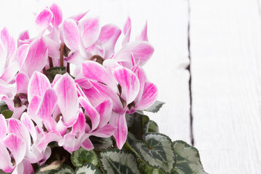 Similar image 10893634