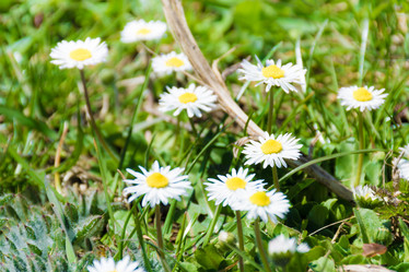 Similar image 10893727