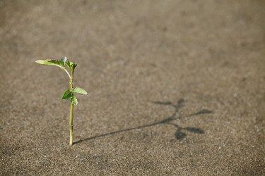 Similar image 10885064