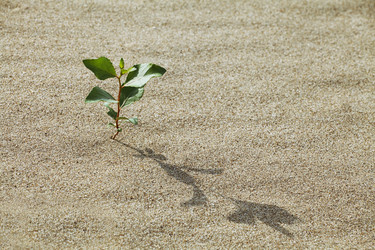 Similar image 10885065