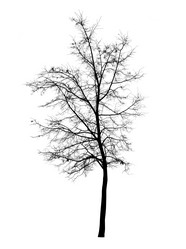 Similar image 10884628