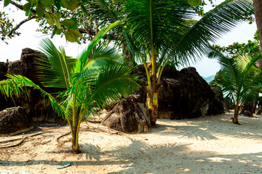 Similar image 10884245