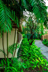 Similar image 10884281