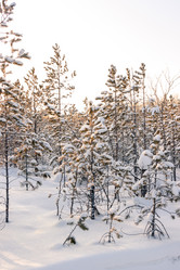 Similar image 10884601