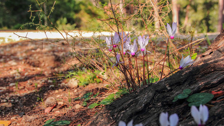 Similar image 10884968