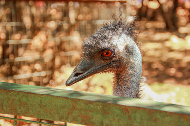 Similar image 10884844