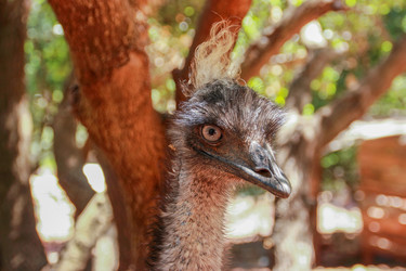 Similar image 10884848