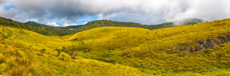 Similar image 10885501