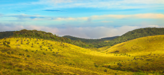 Similar image 10885503